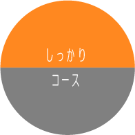 しっかりコース　ホームページ制作